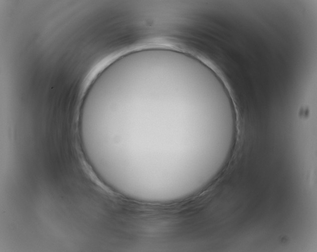X0000112961477200908270907