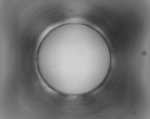 X0000112961478200908270907