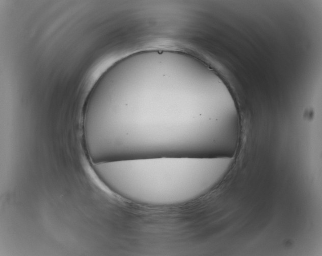 X0000112961479200908270907