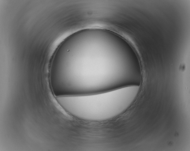 X0000112961480200908270907