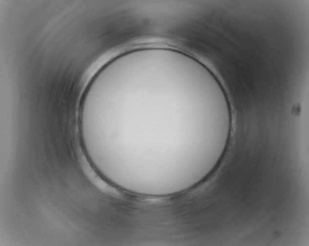 X0000112961482200908270907