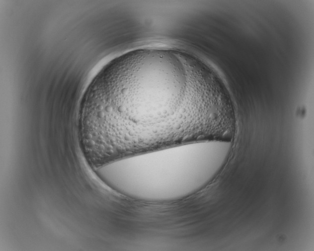 X0000112961483200908270907