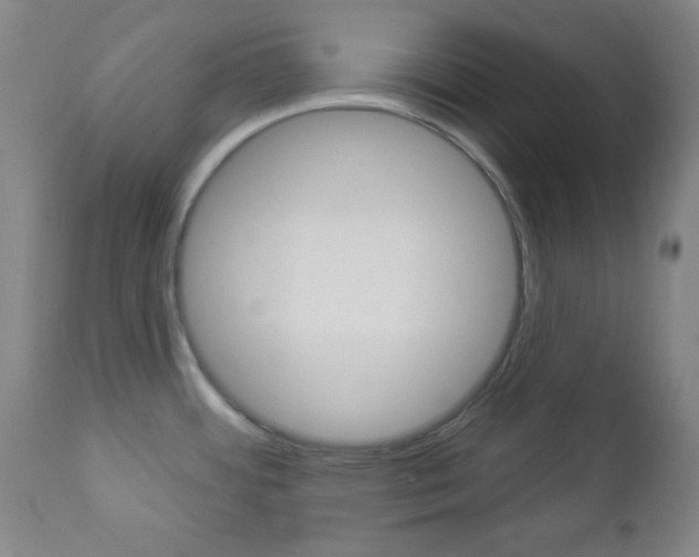 X0000112961484200908270907
