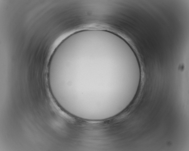 X0000112961486200908270907