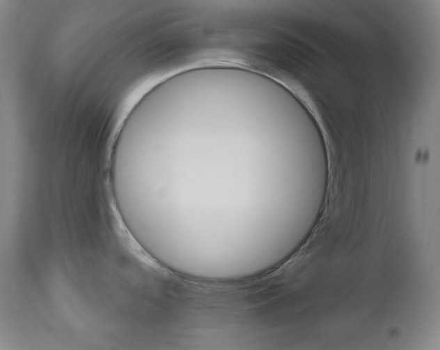 X0000112961488200908270907