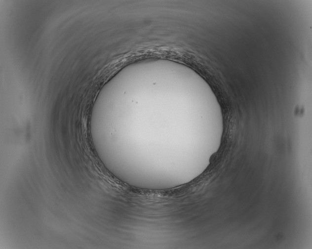 X0000112961489200908270906