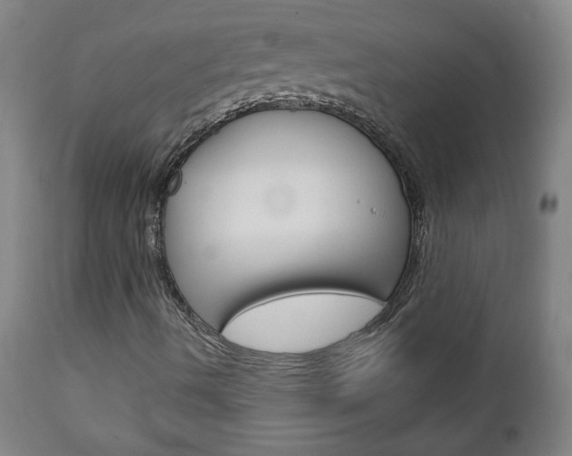 X0000112961490200908270906