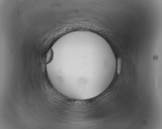 X0000112961491200908270906
