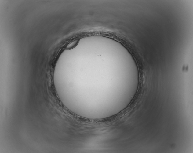 X0000112961493200908270906