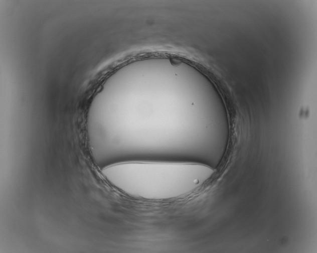 X0000112961494200908270906