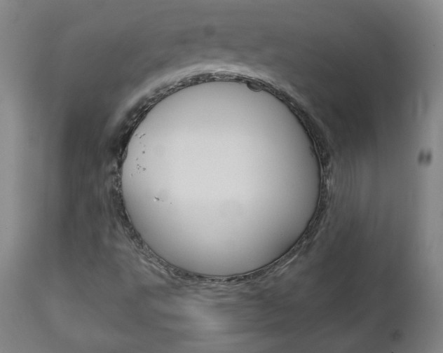 X0000112961495200908270906