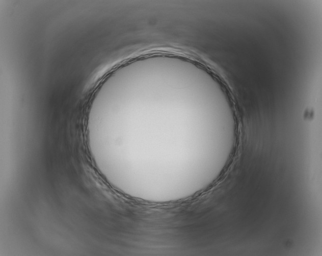 X0000112961496200908270906