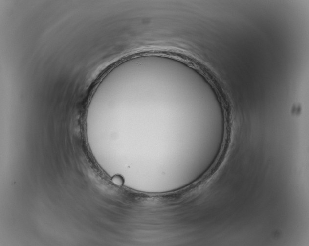 X0000112961497200908270906