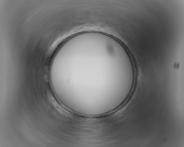 X0000112961499200908270906