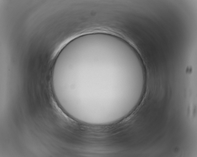 X0000112961500200908270906
