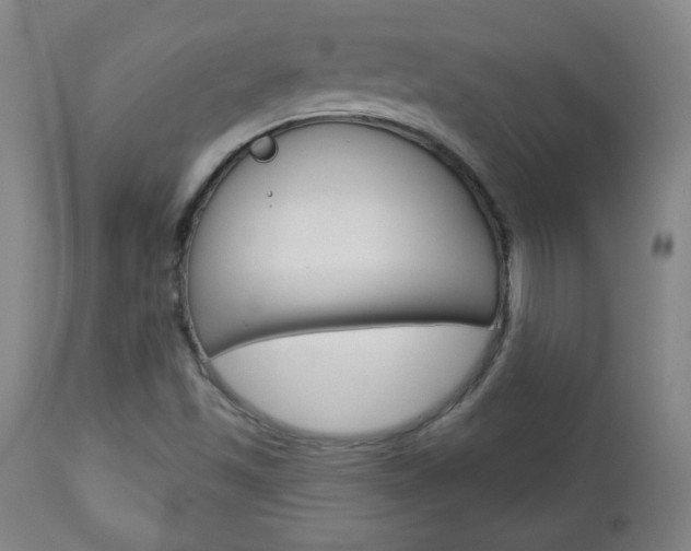 X0000112961501200908270906