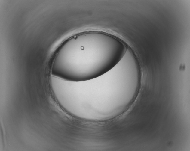 X0000112961502200908270906