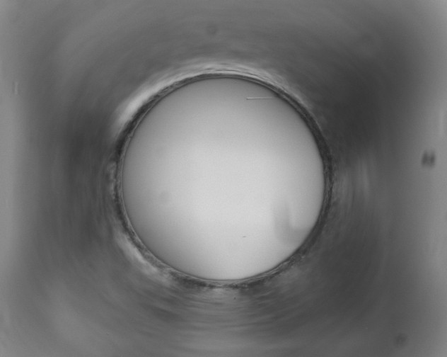 X0000112961503200908270906