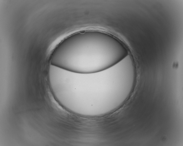 X0000112961504200908270906