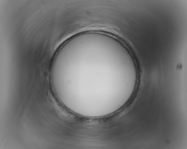 X0000112961505200908270906