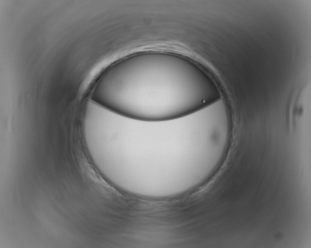 X0000112961506200908270906