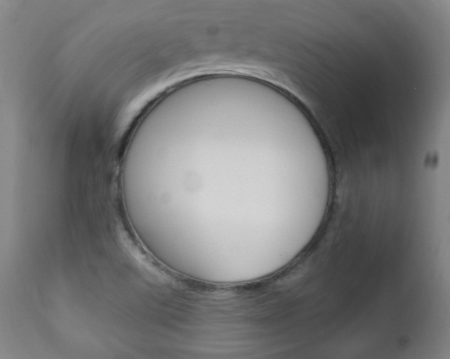 X0000112961507200908270906