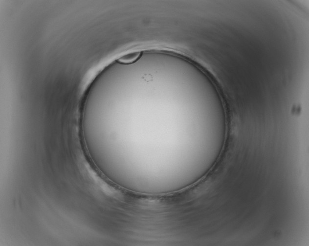 X0000112961508200908270906