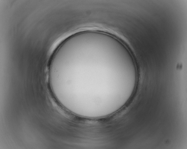 X0000112961509200908270906