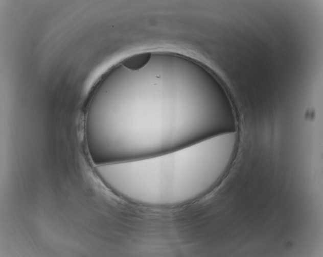 X0000112961510200908270906