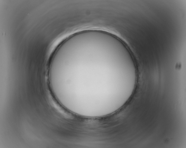 X0000112961511200908270906