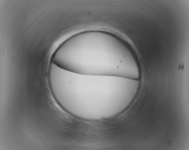 X0000112961512200908270906