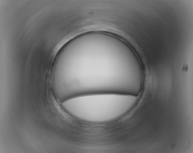 X0000112961513200908270906