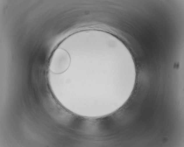 X0000112961514200908270906