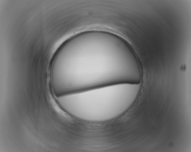 X0000112961515200908270906