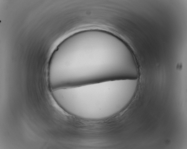 X0000112961516200908270907