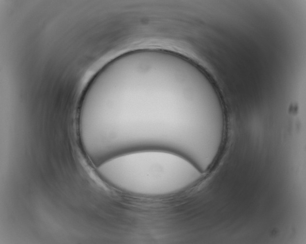X0000112961517200908270907
