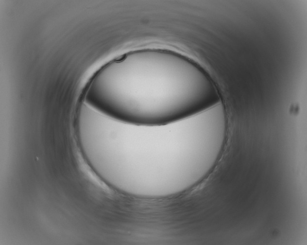X0000112961518200908270907