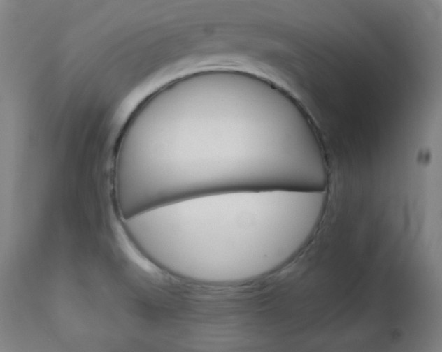 X0000112961519200908270907