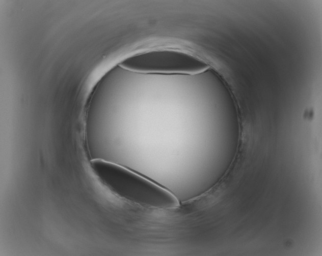 X0000112961520200908270907