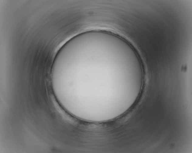 X0000112961521200908270907