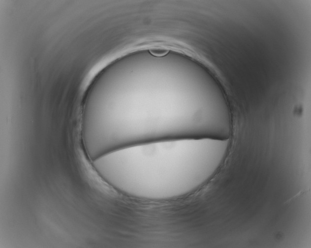 X0000112961522200908270907