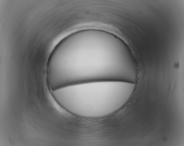 X0000112961523200908270907