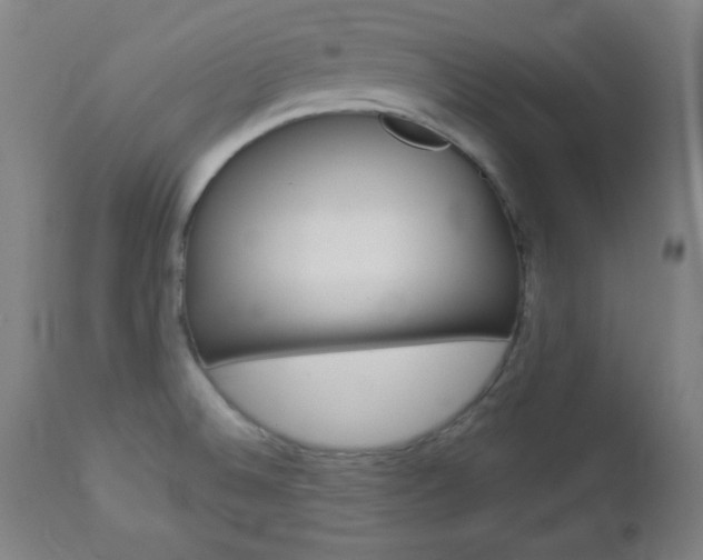 X0000112961524200908270907