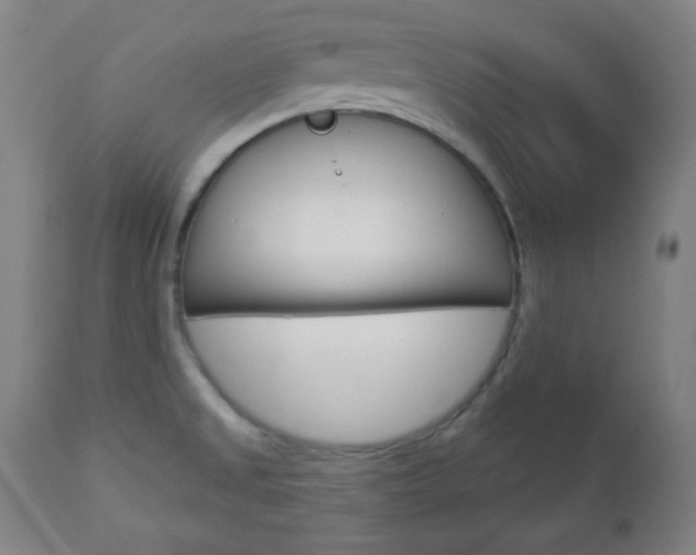 X0000112961525200908270907