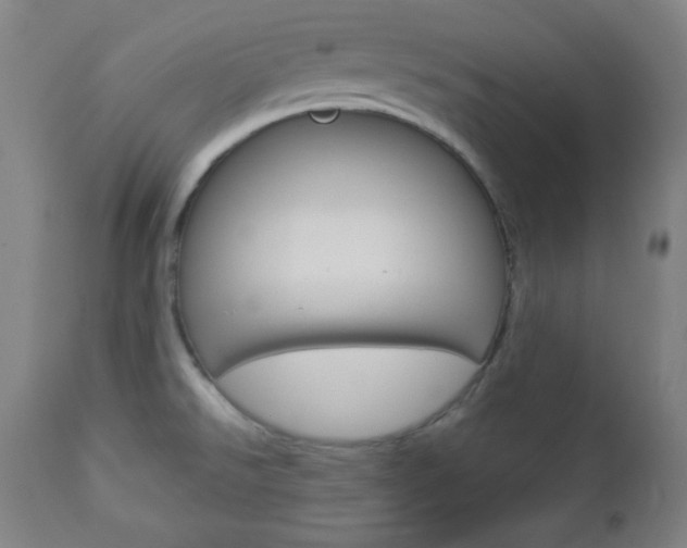 X0000112961526200908270907