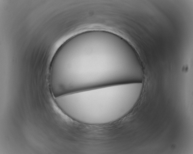 X0000112961527200908270907