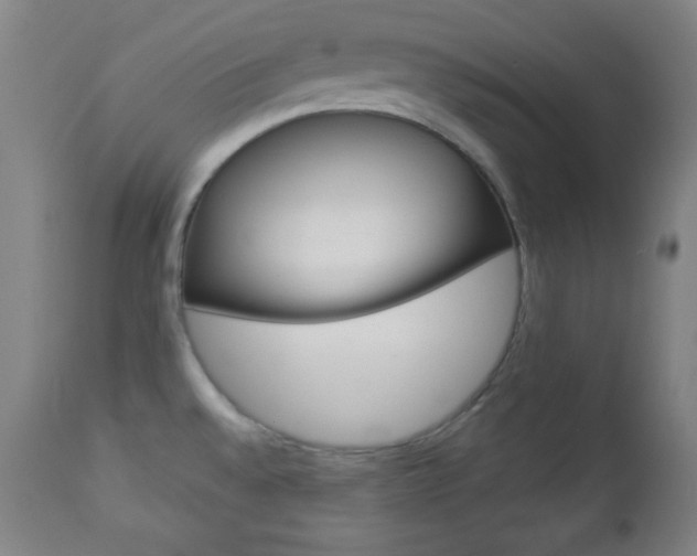 X0000112961528200908270907