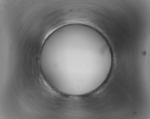 X0000112961529200908270907