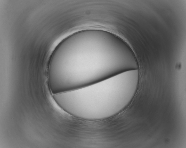 X0000112961531200908270907