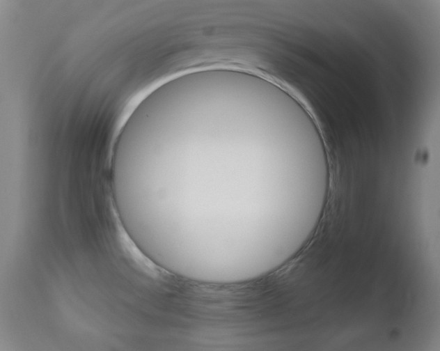 X0000112961532200908270907